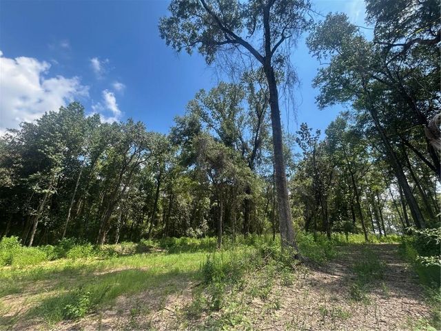 0 Lundy Road, Theodore, AL 36582