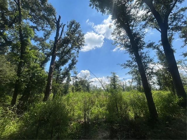 0 Lundy Road, Theodore, AL 36582
