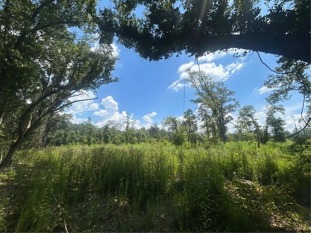 0 Lundy Road, Theodore, AL 36582