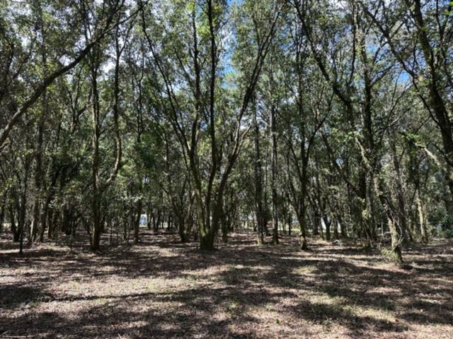 0 Lundy Road, Theodore, AL 36582