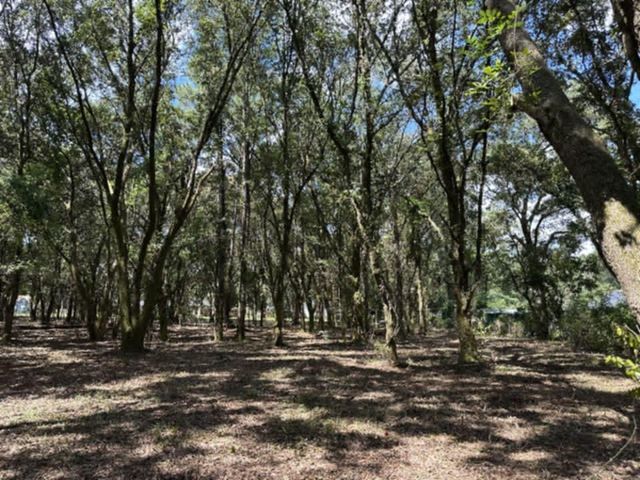 0 Lundy Road, Theodore, AL 36582