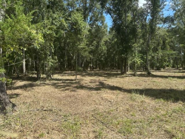 0 Lundy Road, Theodore, AL 36582