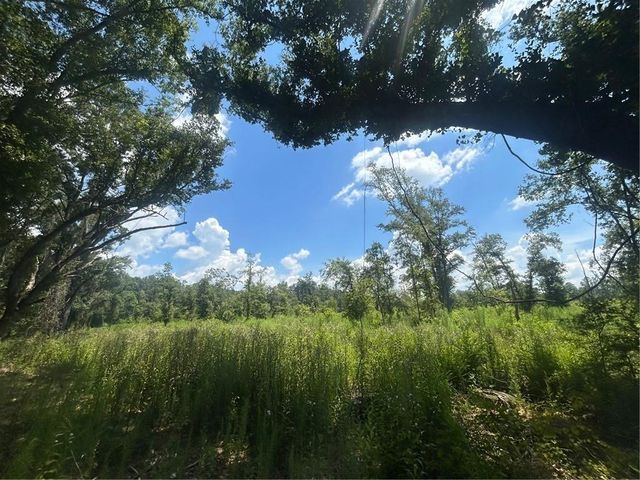 0 Creel Road, Theodore, AL 36582