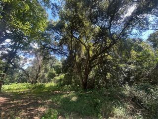 0 Creel Road, Theodore, AL 36582