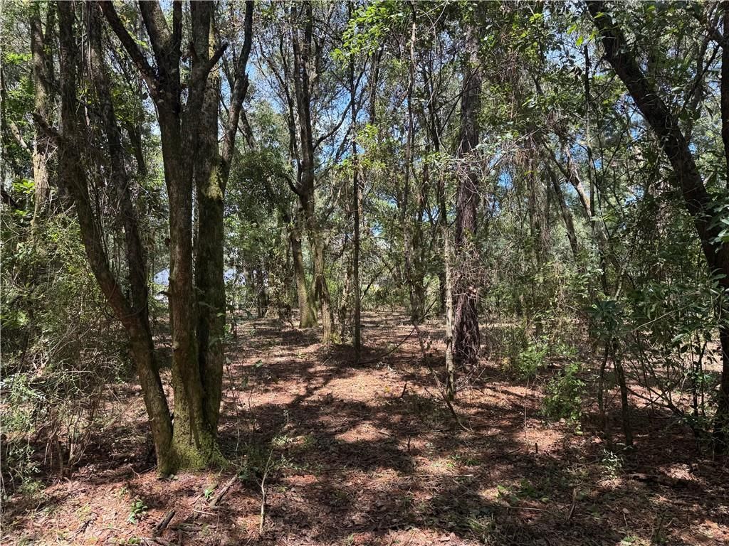 0 Lundy Road, Theodore, AL 36582 — photo 2