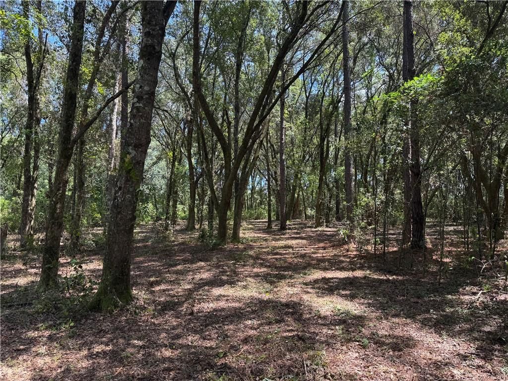 0 Lundy Road, Theodore, AL 36582 — photo 3