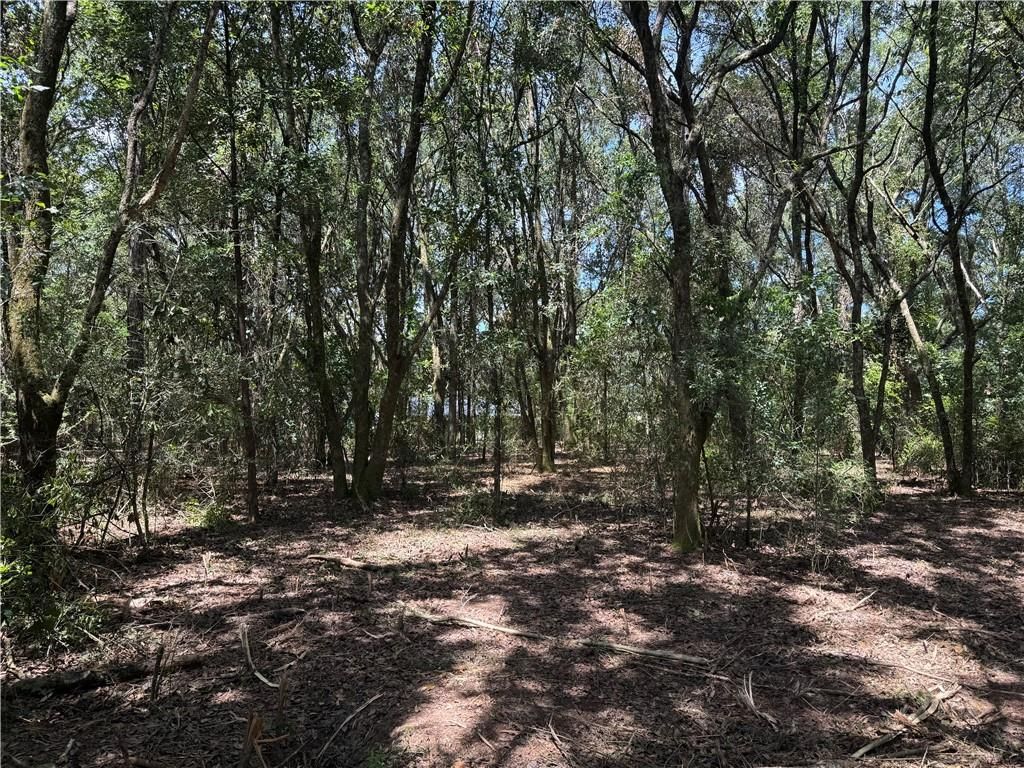 0 Lundy Road, Theodore, AL 36582 — photo 4