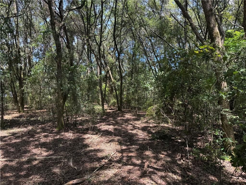 0 Lundy Road, Theodore, AL 36582 — photo 5