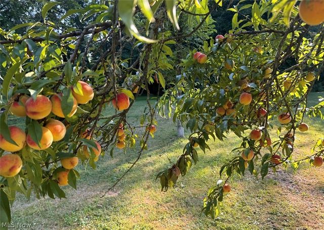 7374 Youngstown Pittsburgh Road, Poland, OH 44514