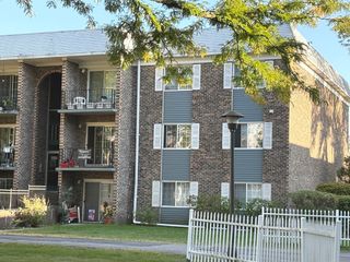 1511 N Windsor Drive 208, Arlington Heights, IL 60004