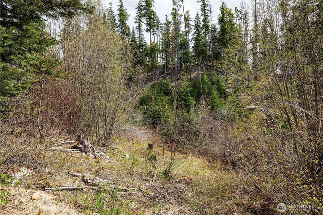 0 Lot H R&R Heights Drive, Roslyn, WA 98941