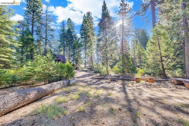 311 Fir, Pinecrest, CA 95370