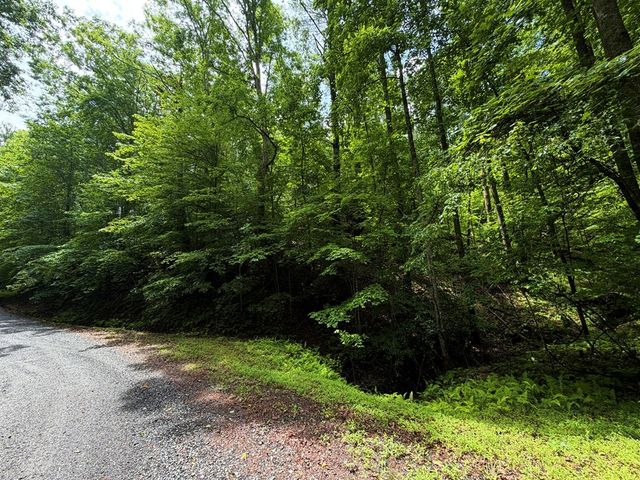 LT 144 Alcan Way, Ellijay, GA 30450