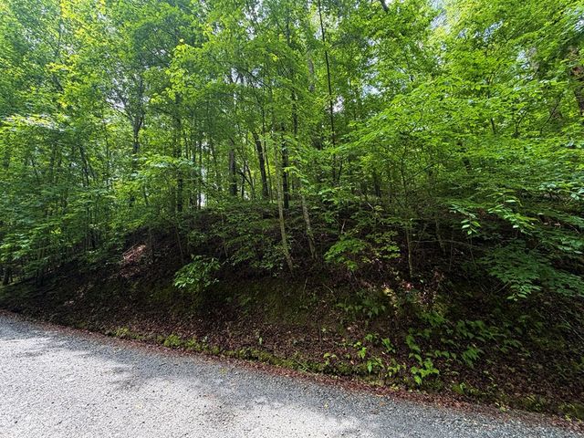 LT 144 Alcan Way, Ellijay, GA 30450