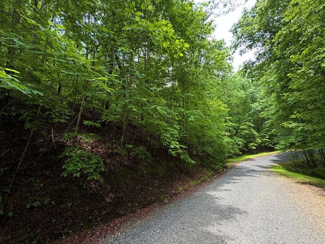 LT 144 Alcan Way, Ellijay, GA 30450