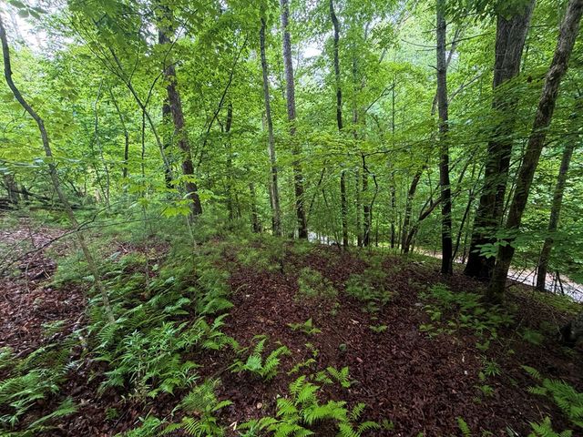 LT 144 Alcan Way, Ellijay, GA 30450