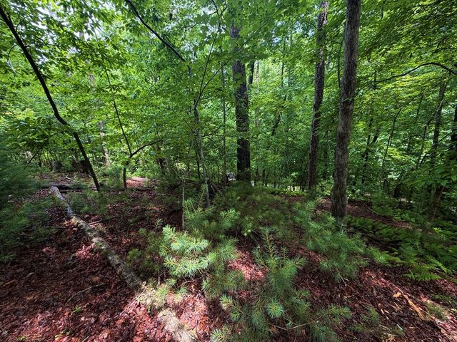 LT 144 Alcan Way, Ellijay, GA 30450