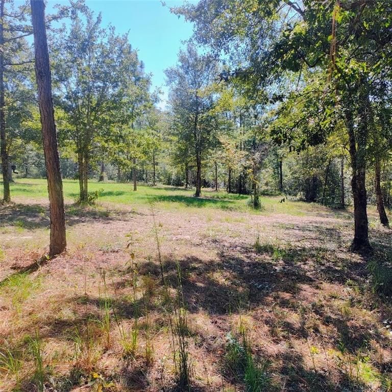 0 Sam Lewis Road, Citronelle, AL 36522 — exterior