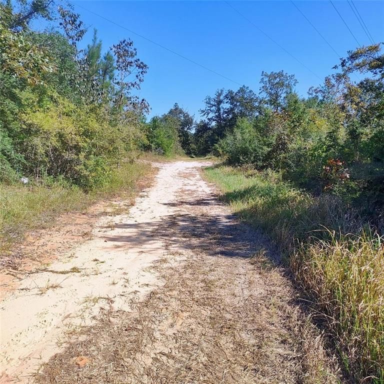 0 Sam Lewis Road, Citronelle, AL 36522 — photo 4
