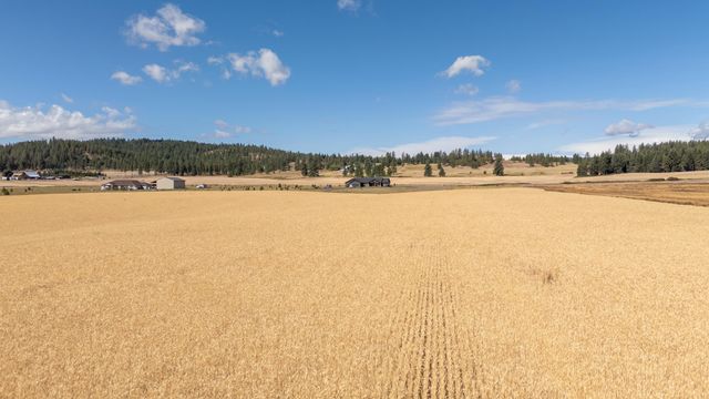 24XXX N Spotted Rd, Deer Park, WA 99006