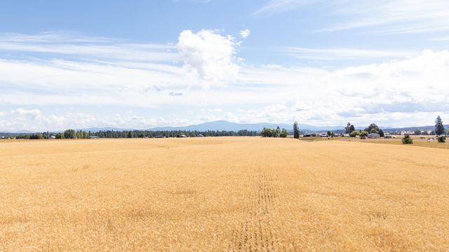 24XXX N Spotted Rd, Deer Park, WA 99006