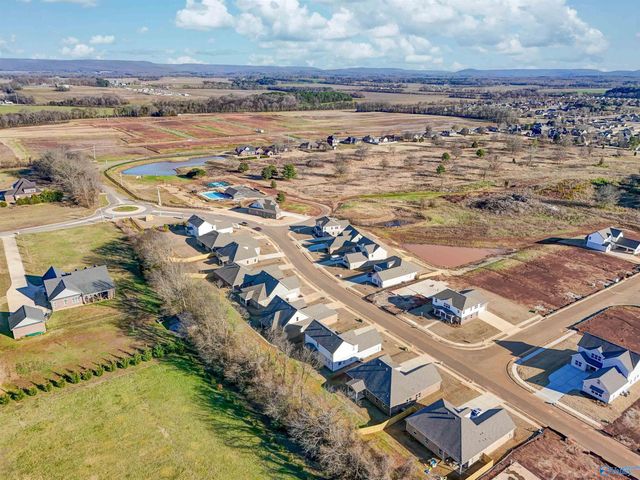 121 Fairways Pass, Meridianville, AL 35759