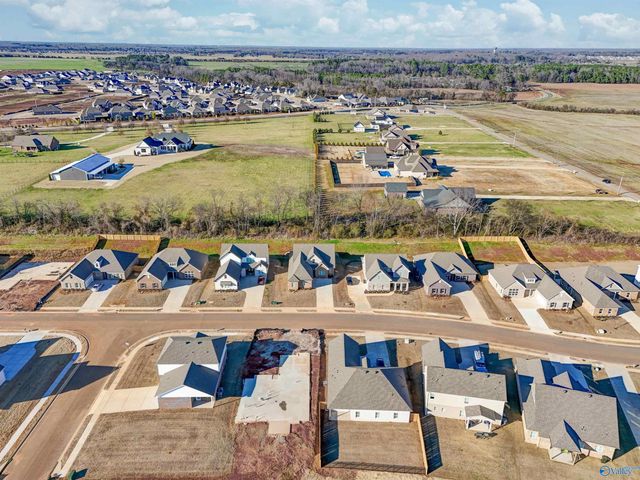 121 Fairways Pass, Meridianville, AL 35759