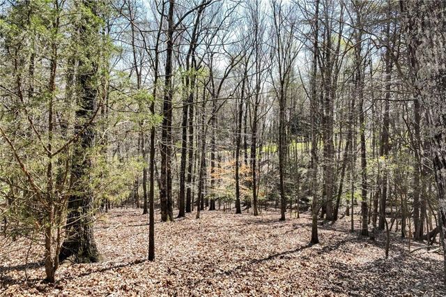 304 Point Olympus Drive, Gainesville, GA 30506