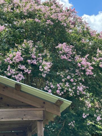 114 Briar Lane, Crockett, TX 75835