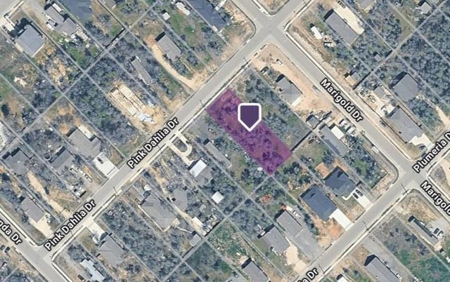 121 Pink Dahlia DR, Dale, TX 78616