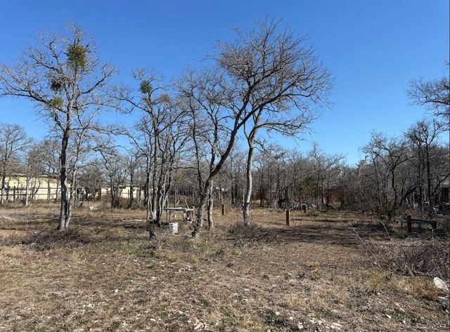 121 Pink Dahlia DR, Dale, TX 78616