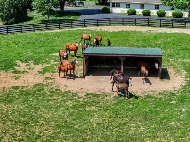 595 Moores Mill Road, Midway, KY 40347