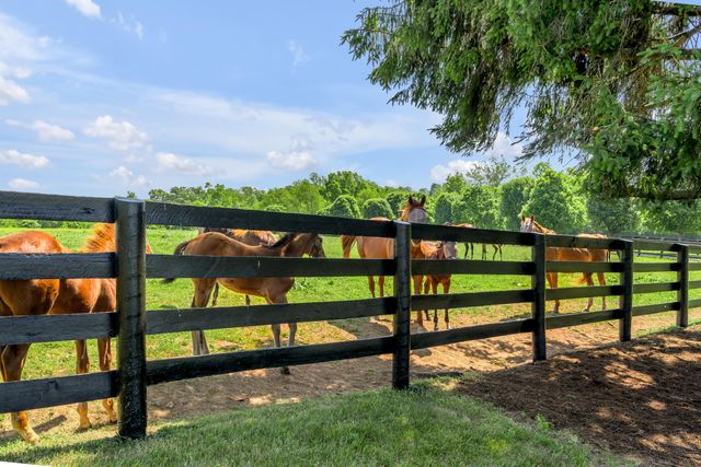 595 Moores Mill Road, Midway, KY 40347