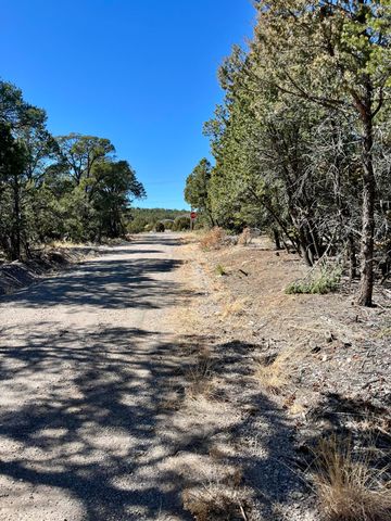 5 DRUM Road, Edgewood, NM 87015