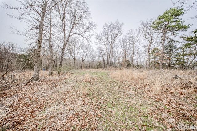 14750 Private Drive 6021, Edgar Springs, MO 65462