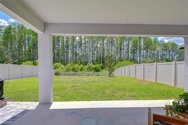20978 MONZA LOOP, Land O Lakes, FL 34638