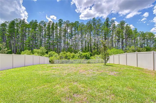 20978 MONZA LOOP, Land O Lakes, FL 34638