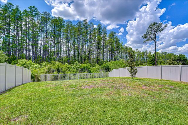 20978 MONZA LOOP, Land O Lakes, FL 34638