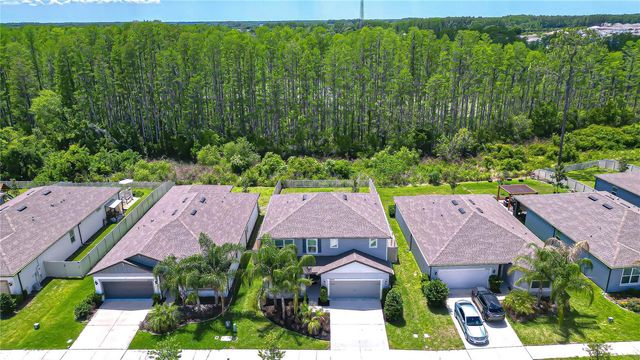 20978 MONZA LOOP, Land O Lakes, FL 34638