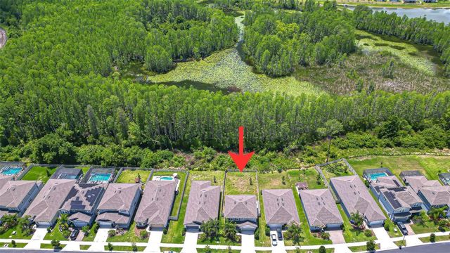 20978 MONZA LOOP, Land O Lakes, FL 34638