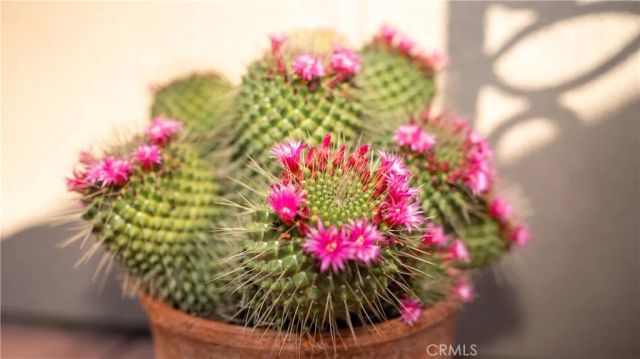 15002 Sagegrove Lane, Fontana, CA 92336