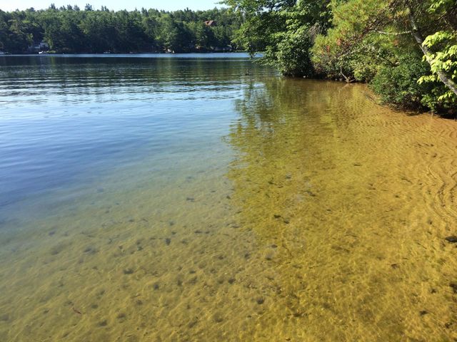 115 Chandler Lane, Wakefield, NH 03830