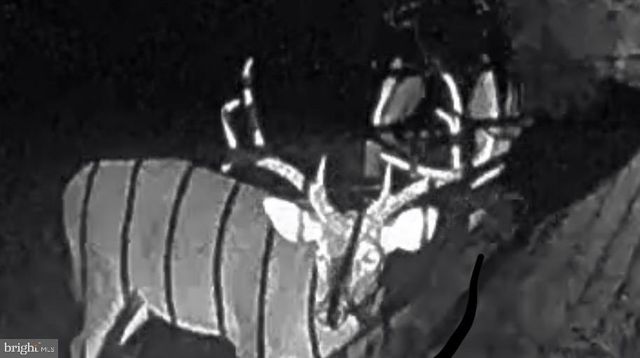 1480 TRUSLOW RD, Fredericksburg, VA 22406