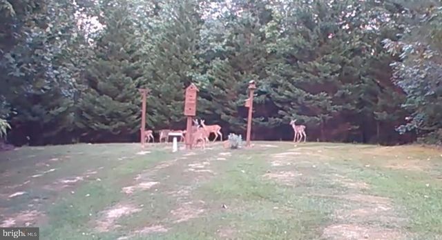 1480 TRUSLOW RD, Fredericksburg, VA 22406