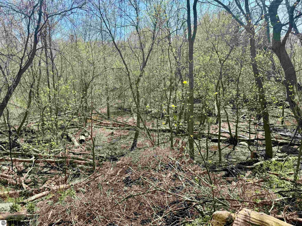 Image 1 of property listing at 11000 Riverside Drive, St Louis, MI 48880