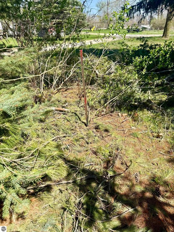 Image 3 of property listing at 11000 Riverside Drive, St Louis, MI 48880