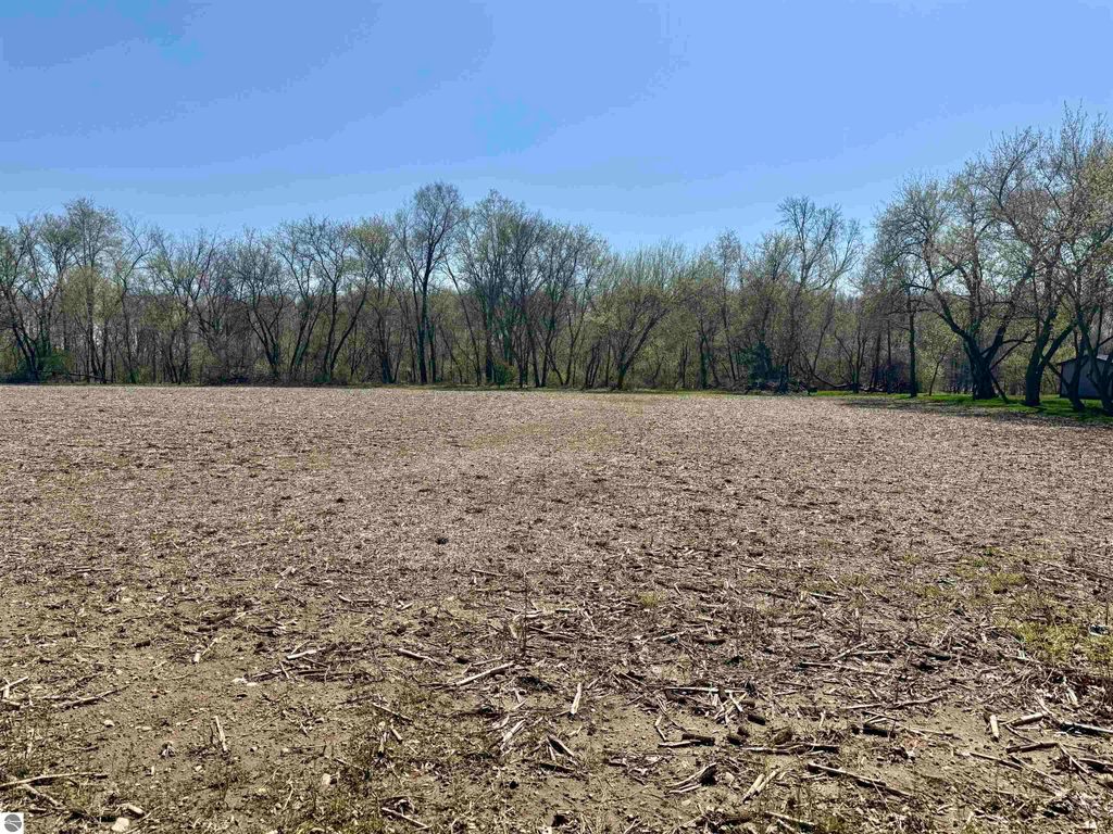 Image 4 of property listing at 11000 Riverside Drive, St Louis, MI 48880