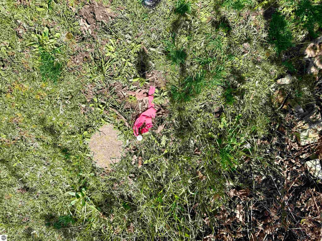 Image 5 of property listing at 11000 Riverside Drive, St Louis, MI 48880