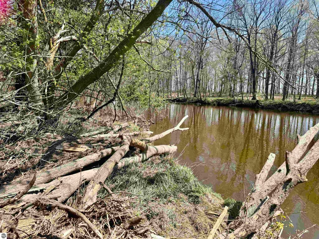 Image 6 of property listing at 11000 Riverside Drive, St Louis, MI 48880