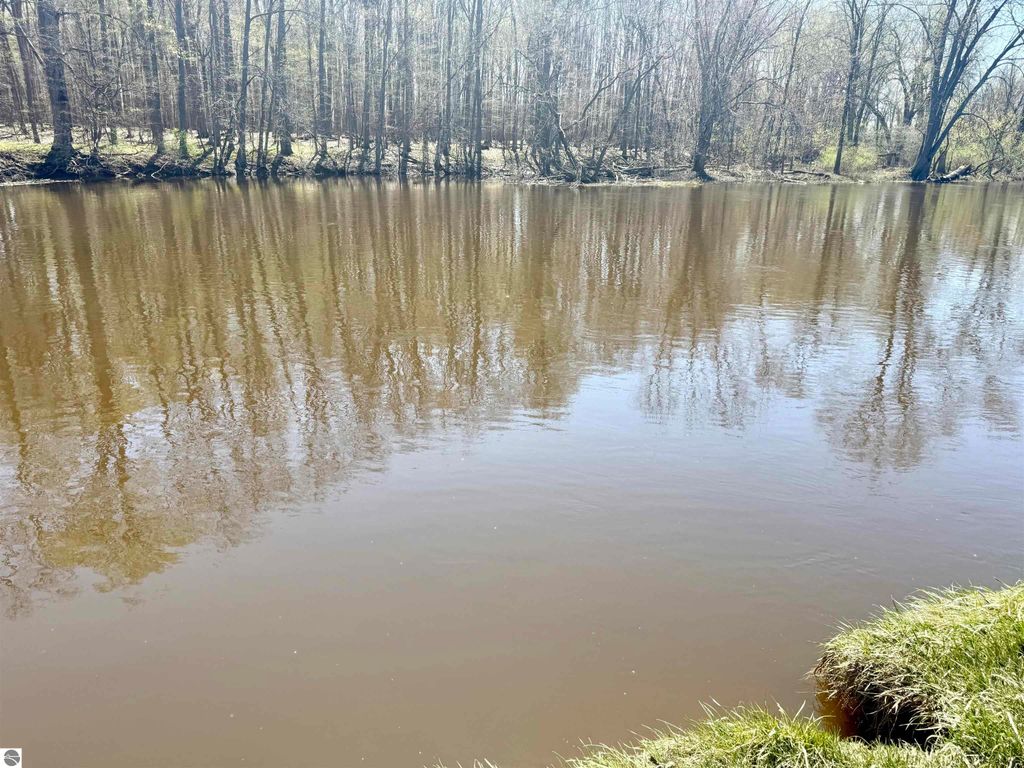 Image 7 of property listing at 11000 Riverside Drive, St Louis, MI 48880